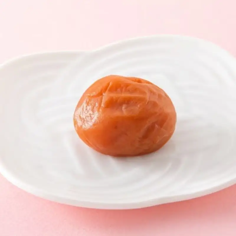 紀州南高梅　三栖里の梅（塩分10%）　500g  / 田辺市 紀州南高梅 南高梅 梅干し 梅干 梅  肉厚 お米 おにぎり 焼酎 梅酒 健康 【ske021-1】