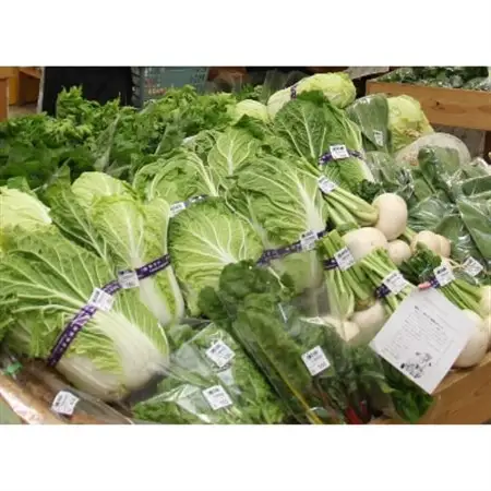 季節の野菜セット(10～15種)【配送不可地域：離島・沖縄県】【1210559】