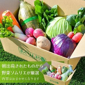 あぐりん村の新鮮野菜宅配BOX 常温配送期間［ 新鮮野菜 宅配BOX 詰め合わせ クール便 季節野菜 健康 ヘルシー 人気 おすすめ ギフト プレゼント お取り寄せ 通販 送料無料 ふるさと納税 ］