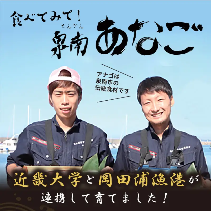 近畿大学×岡田浦漁協『泉南あなご』4尾入り！【058D-003】