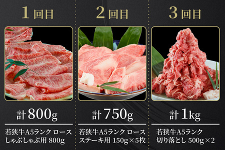 【定期便6回コース】　若狭牛　A5ランク贅沢食べ比べ定期便 [P-037012]