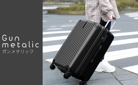スーツケース キャリー  SSサイズ（エンボス/ガンメタリック） [PROEVO] [10001S] AY279
