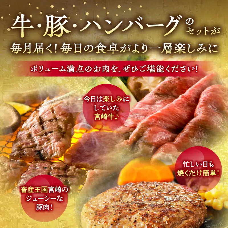 宮崎牛・宮崎県産豚・ハンバーグが毎月届く！ミヤチク堪能定期便(総重量10.4kg) 牛肉 ハンバーグ 焼肉 しゃぶしゃぶ