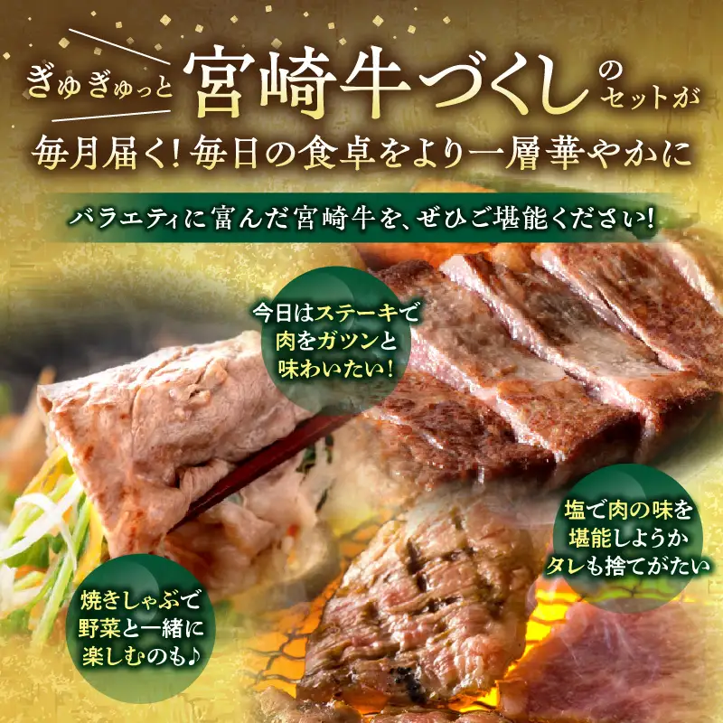 宮崎牛を食べつくす！ぎゅぎゅっとバラエティ定期便(総重量3.85kg) 牛肉 焼肉 しゃぶしゃぶ ステーキ