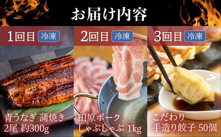 【定期便】スタミナセット定期便  全3回 (うなぎ / 豚肉 / 餃子) 