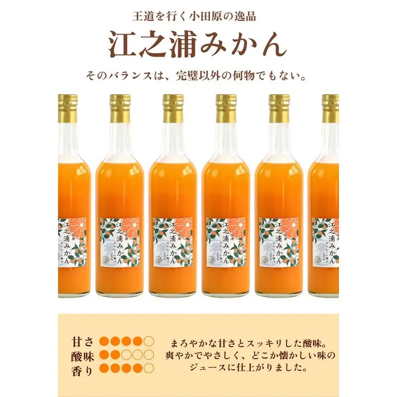 ギフトセット５００ml３本入り 小田原産江之浦みかん１００％ストレートジュース５００ml３本 【みかんジュース みかんジュース 神奈川県 小田原市 】