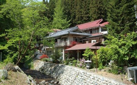 【平日限定】 川中温泉 かど半旅館 １泊２食ペア宿泊券 温泉 美人の湯 旅行 観光 お出かけ 癒し 泊り 温泉宿泊チケット 日本三美人の湯 源泉かけ流し 温泉旅館 温泉旅行 