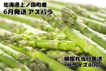 【2026年6月発送】寅福菜園の朝採り6月限定アスパラ　M（800g）　グリーンアスパラ　朝採れ　農家直送　新鮮　ジューシー　特産品　北海道産