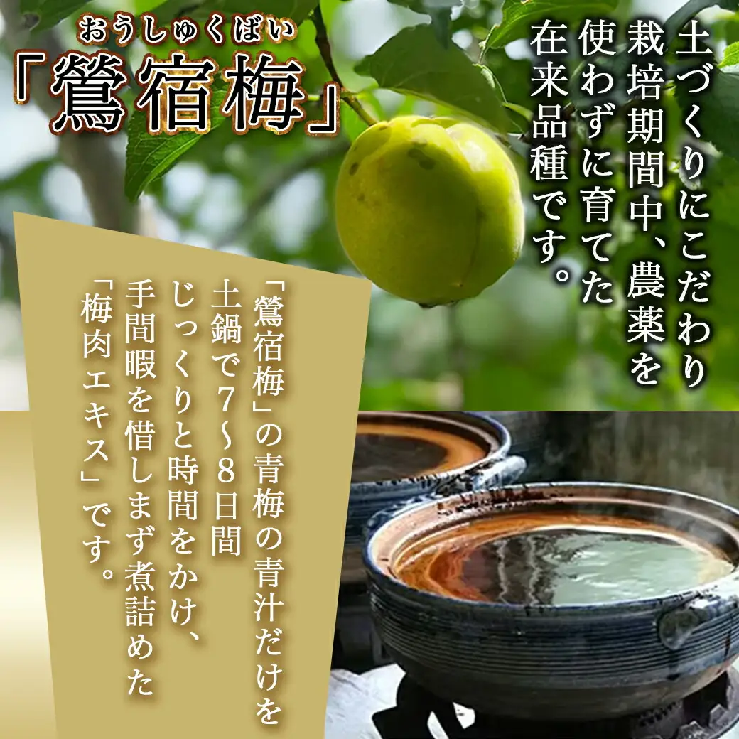 徳重ばあちゃんが受け継いだ「鶯宿梅（おうしゅくばい）」の梅肉エキス〔AD-49-002-115g〕_ (都城市) 梅肉エキス(50g×2/15g×1) 合計115g ミネラル成分たっぷり 梅エキス 伝統農法 有限会社 徳重紅梅園