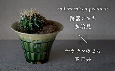 多治見市×春日井市コラボ 【美濃焼】 陶芸家「鈴木徹」 植木鉢 L × 【日本有数のサボテンの生産地】 春日井市の名店 後藤サボテン 【井澤コーポレーション】[TBP178]