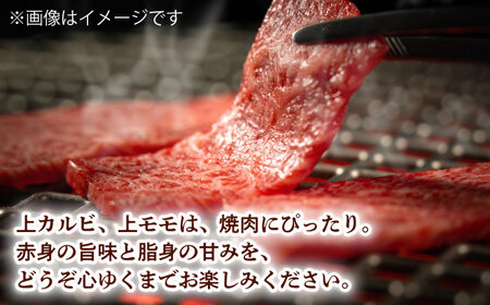 霜降り 焼肉セット 上カルビ 上モモ 計400g (200g×2) 長崎和牛 焼き肉 【夢ファームシュシュ】 [WF21] 肉 牛肉 カルビ モモ 焼肉 バーベキュー BBQ 九州 九州産