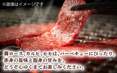 和牛 バーベキュー セット 肩ロース カルビ モモ 計600g (200g×3) 長崎和牛 【夢ファームシュシュ】 [WF22] 肉 牛肉 ロース もも 焼肉 BBQ