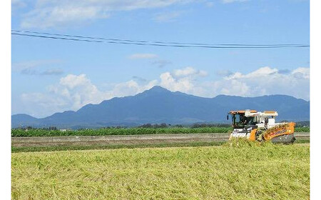 お米マイスターが育てた特別栽培米 精米コシヒカリ 上越産 令和7年産 10kg(5kgx2袋)無洗米