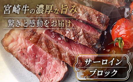 宮崎牛サーロインブロック1kg_AF-2501_(都城市) サーロインブロック肉 1キロ 肉のながやま 自社飼育 牛肉 焼肉 ステーキ すき焼き キャンプ