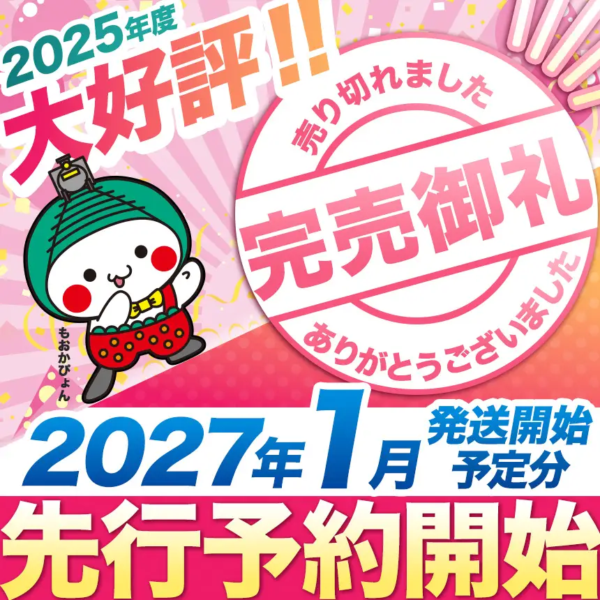 【2027年 先行予約】1月発送分 朝採れいちご とちあいか 約1,000g