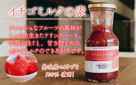 本格ドリンクが楽しめる【イチゴミルクの素】と【高浜レモネードの素】