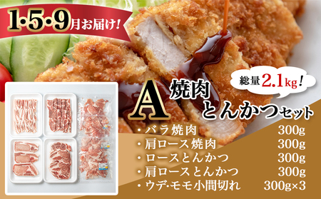 「きなこ豚」定期便(10ヶ月)_T80（10）-1201_(都城市) 豚肉 ブランド豚のお肉を10ヶ月間毎月お届け ブランドポーク しゃぶしゃぶ とんかつ 焼き肉など