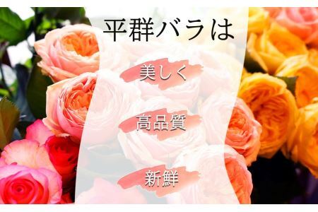 バラ の 花束 （ 50本 ） ピンク 系 濃淡 | バラ 花束 奈良県 平群町