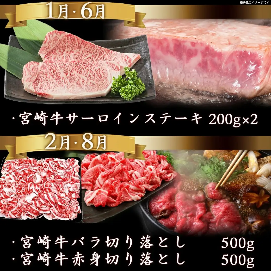 迷ったらコレ!宮崎牛食べ尽くし定期便(10ヵ月)〔T120（10）-0101〕_(都城市)A5 5等級 牛肉 バラ 赤身 サーロインステーキ ヒレステーキ ロース 焼き肉 しゃぶしゃぶ すき焼き スライス 切り落とし