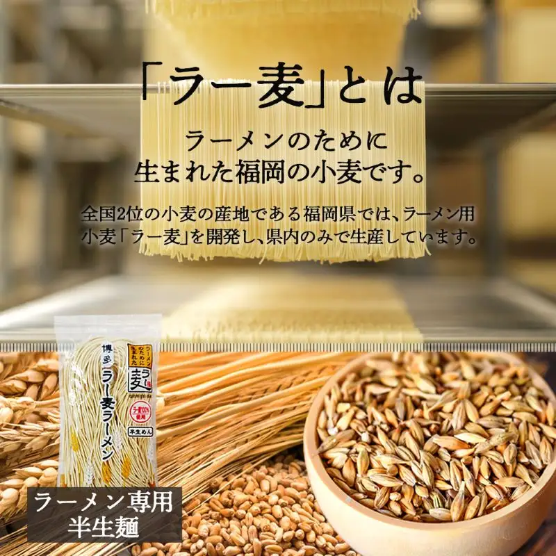 ＼ポスト投函／博多 豚こつ至福のラーメン 4食 ゆうパケットでお届け！【Z5-017】