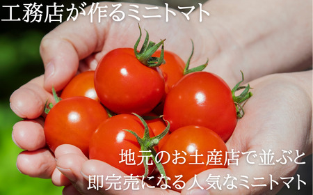 鶴居村 ふるさと納税】北海道 鶴居村　つるいトマト 1ｋｇ 工務店が作った 高糖度 8.5以上! ( フルーツ のような 甘さ ミニトマト フィルム栽培　甘い フルーティー とまと TOMATO)