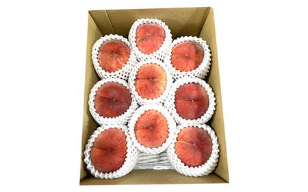 【2026年度先行予約】山形白桃 約2kg 5玉～9玉 FSY-2462