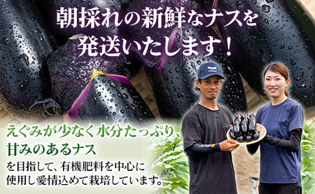 立仙農園 うちのナス 合計3kg【なす なす なす なす なす】 rs-0002