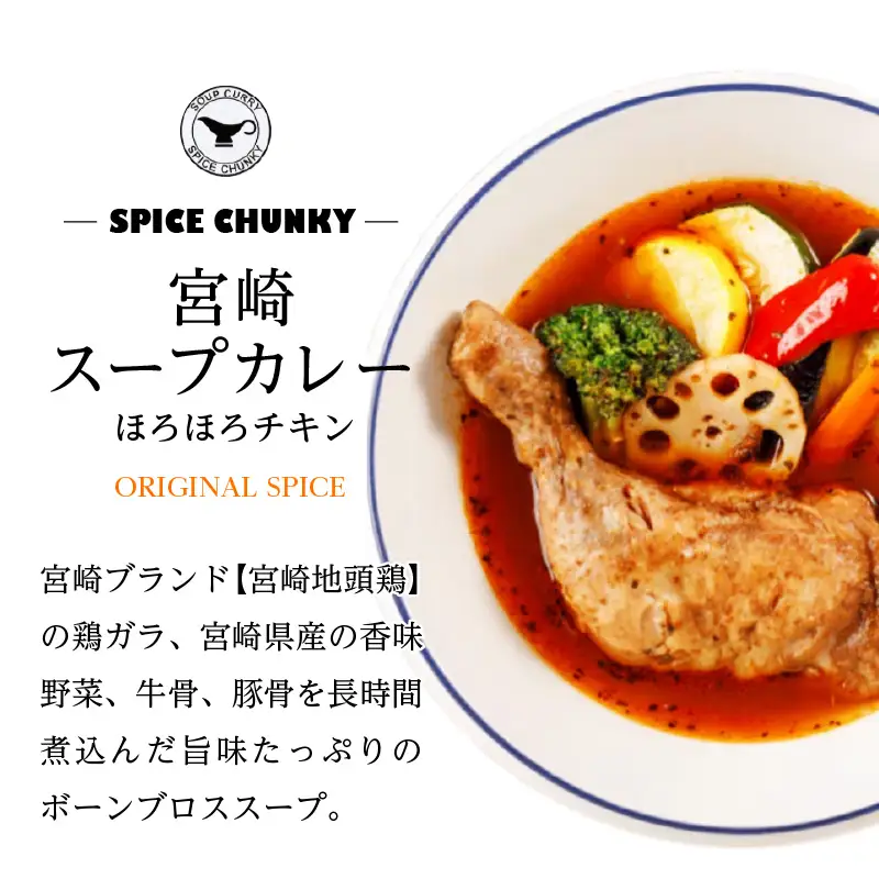 宮崎スープカレーセット(スープカレーほろほろチキン真空冷凍パック、スパイスソルト) スープ カレー レトルト
