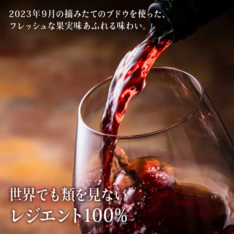 【数量限定】 ヨイチヌーヴォー レジェント 2023 【キャメルファーム】 余市 北海道 ワイン 赤ワイン ヌーヴォー ヌーボ 国産 キャメル カルディ おすすめワイン 余市のワイン 北海道のワイン 日本のワイン 北海道 余市町 _Y020-0635
