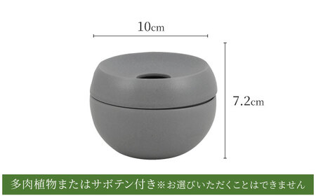 【美濃焼】＜色が 選べる＞COPO（球）植物付き【大東亜窯業】インテリア 雑貨 観葉植物 多肉植物 サボテン グリーン 水で育てる 省スペース 手軽 簡単 初心者 写真映え かわいい おしゃれ [MAG075]