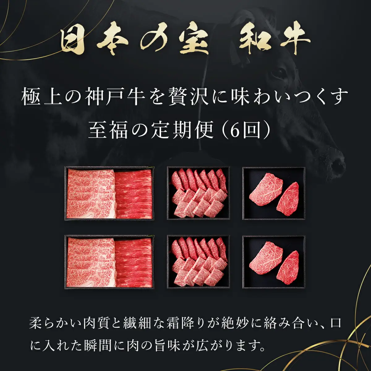 【和牛セレブ】神戸牛 定期便「ビジネスクラス」（定期便６回） AS33M3