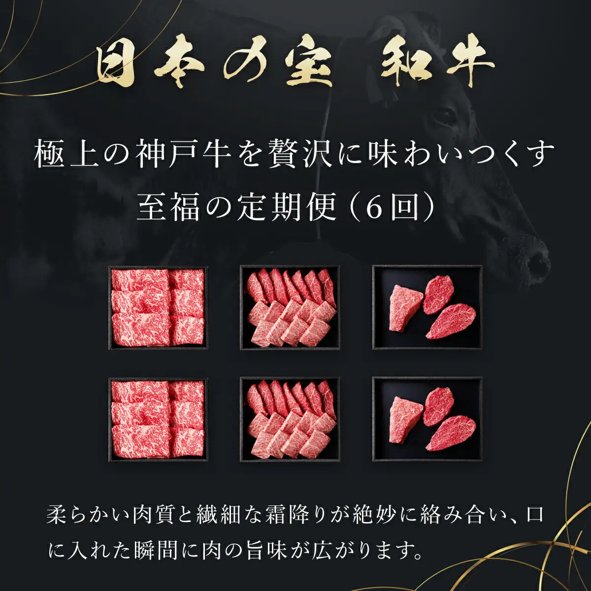 【和牛セレブ】神戸牛 定期便「ファーストクラス」（定期便６回） AS33O4
