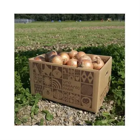 UNO ORGANIC FARM　北海道訓子府産　オーガニック玉ねぎ　5kg　【有機JAS認証】【配送不可地域：離島・沖縄県】【1455313】