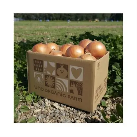 UNO ORGANIC FARM　北海道訓子府産　オーガニック玉ねぎ　3kg　【有機JAS認証】【配送不可地域：離島・沖縄県】【1455333】
