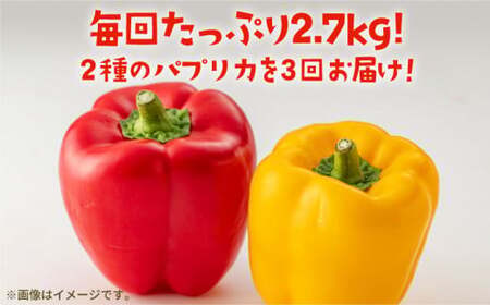 【全3回定期便】 五島のパプリカ 約2.7kg 五島市/HPIファーム [PCP004]  野菜 やさい 国産 新鮮 緑黄色野菜 産地直送 とれたて