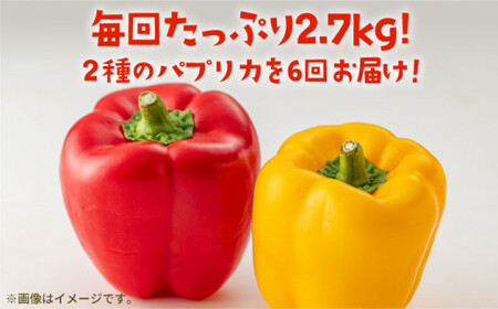【全6回定期便】 五島のパプリカ 約2.7kg 五島市/HPIファーム [PCP005]  野菜 やさい 国産 新鮮 緑黄色野菜 産地直送 とれたて