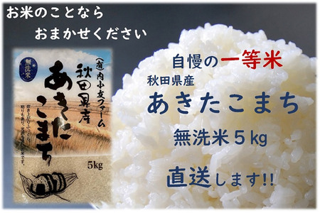 米 令和7年産 秋田県産あきたこまち 一等米 農家直送 無洗米5kg 内小友ファーム