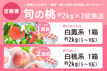 【2026年発送 先行予約】2回定期便 旬のフルーツ定期便（桃白鳳系2㎏・桃白桃系2㎏）180-007-26y