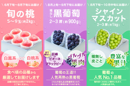 【2026年発送 先行予約】3回定期便 旬のフルーツ定期便（桃2㎏・種無し黒葡萄2～3房・シャインマスカット2～3房）180-024-26y