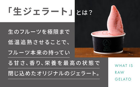 糸島 フルーツ 生ジェラート 9個セット 糸島市 / COCO GELATO [AON001]