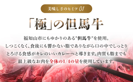 ＜無添加＞但馬牛濃厚とろすじカレー (小箱入り175g×3箱) ふるさと納税 福知山市 但馬牛 カレー 濃厚 とろすじ 無添加 飛燕 レ・ジロンデル 【fc-DA001】【LES HIRONDELLES（レ・ジロンデル）】