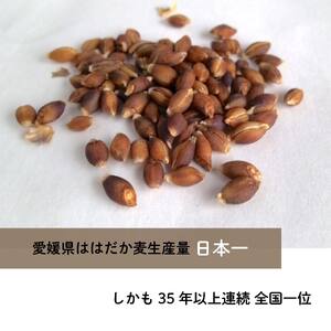 はだか麦オルジュヌミール ゴールド 1kg 愛媛県産 オートミール のように加工 グラノーラ【NL0031】