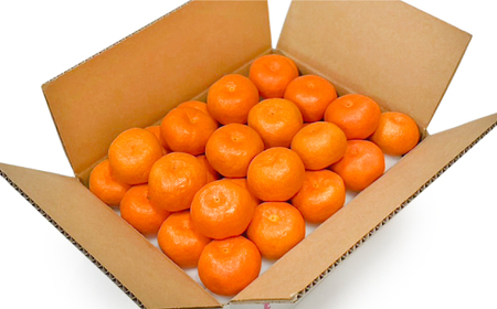 みかん 【高島屋選定品】＜九州屋＞＜先行予約＞味ロマン3kg（L〜２Lサイズ）＜高島屋＞ [CFQ057] みかん