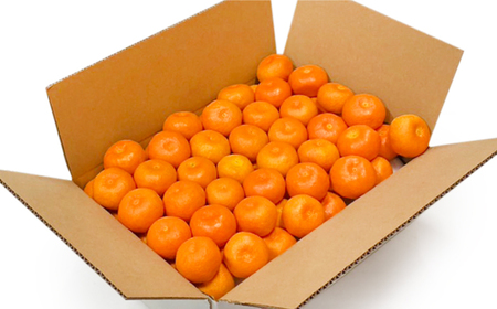 みかん 高島屋選定品＜先行予約＞味ロマン5kg（L〜２Lサイズ）＜高島屋＞ [CFQ059] みかん