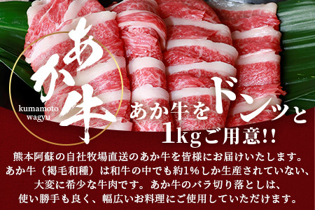 熊本和牛 あか牛 切り落とし 1kg（500g×2） 046-0637