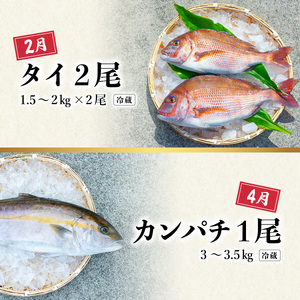 【定期便全４回】海の幸まるごと定期便 クエ くえ クエ鍋 タイ たい 鯛 カンパチ かんぱち 勘八 シマアジ しまあじ
