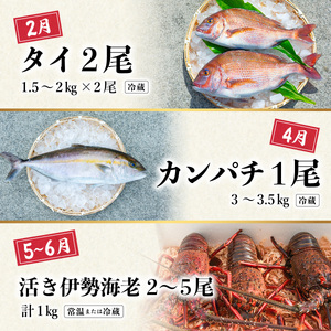 【定期便全６回】海の幸まるごと定期便 クエ くえ クエ鍋 タイ たい 鯛 カンパチ かんぱち 勘八 シマアジ しまあじ 伊勢海老 いせえび イセエビ