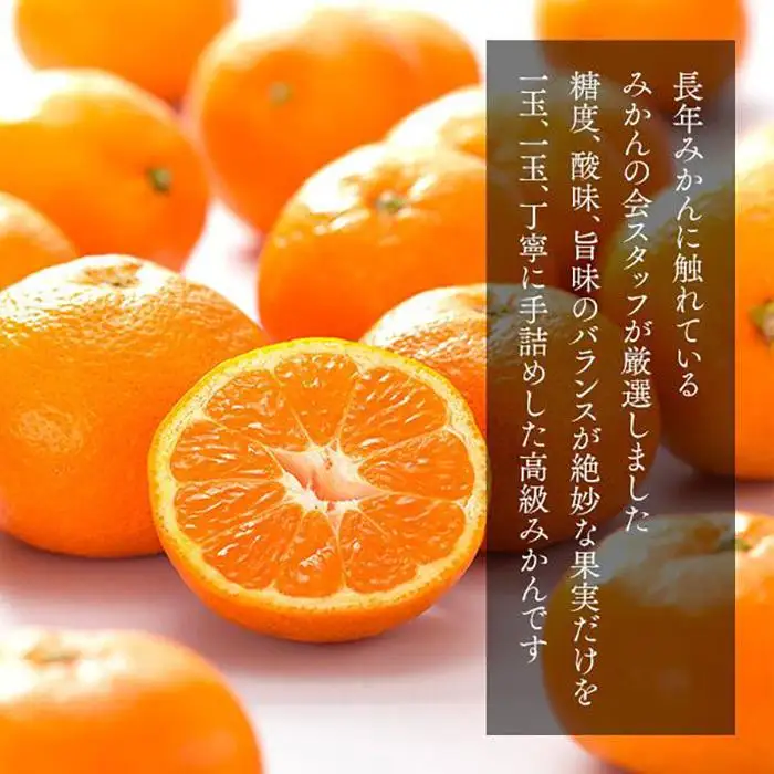 みかん めっちゃうまいんじゃ 木箱入 約3kg （内容量2.3kg）みかんの会厳選 特選品 M S 2S サイズのいずれか 和歌山県産 産地直送 S品 贈答用 ［2026年11月中旬より順次出荷予定］［みかんの会］