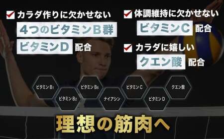 ザバス プロテイン バレーライトセット リッチショコラ味 抹茶風味 グレープフルーツ風味 3種 3個 SAVAS ザバス プロテイン 人気プロテイン 明治プロテイン 体づくり 筋トレ 岡山県 倉敷市