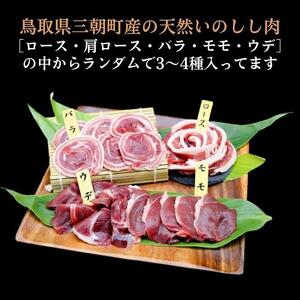 猪肉 三朝町産 ぼたん鍋用 ミックス スライス１ｋｇ